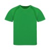 T-Shirt Enfant Personnalisé 100% Polyester Éco-responsable Tecnic Sappor Matières : polyester Taille textile : 4/5 ans Couleurs 