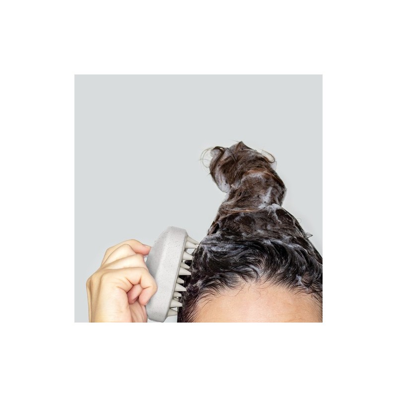 Émulsionneur Nocote - Brosse Massante Écologique