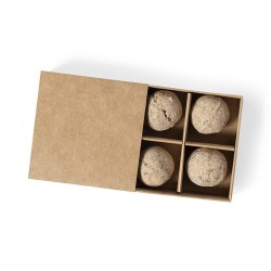 Kit Éco-responsable de Jardin Personnalisé Pas Cher - Tomarux Matières : carton recyclé 2