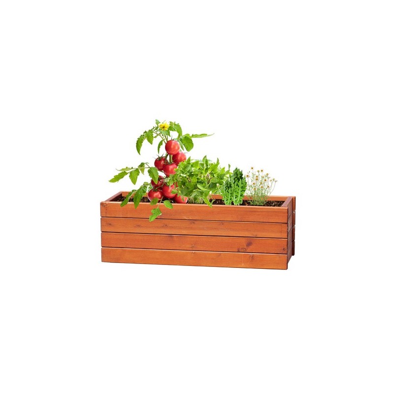 Kit Éco-responsable de Jardin Personnalisé Pas Cher - Tomarux Matières : carton recyclé impression haute définition
