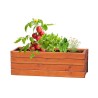Kit Éco-responsable de Jardin Personnalisé Pas Cher - Tomarux Matières : carton recyclé impression haute définition