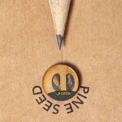 Crayon Éco-responsable Ensemencé Personnalisé Etesio pas cher Matières : bois marquage laser ultra précis