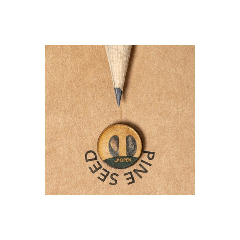 Crayon Éco-responsable Ensemencé Personnalisé Etesio pas cher Matières : bois marquage laser ultra précis