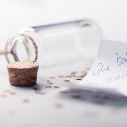 Bouteille à Souhaits Personnalisée Décoration Originale Shoilen Matières : verre cadeau entreprise pas cher