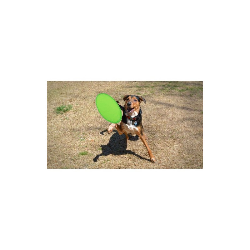 Frisbee Pliable Personnalisé Idéal - Watson Matières : polyester Couleurs : vert goodies personnalisé en stock