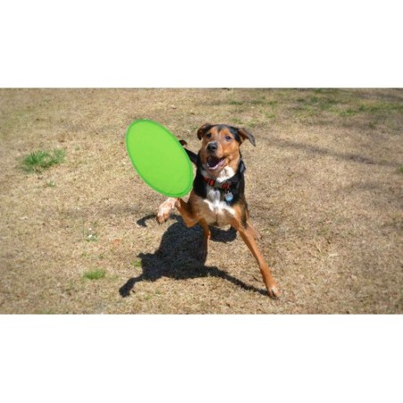 Frisbee Pliable Personnalisé Idéal - Watson Matières : polyester Couleurs : vert goodies personnalisé en stock