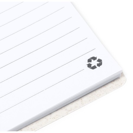 Cahier Emily Écologique avec Stylo Inclus