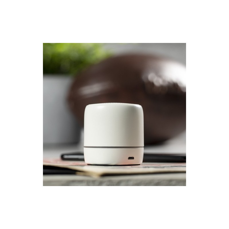 Haut-Parleur Medran RCS - Écologique et Performant