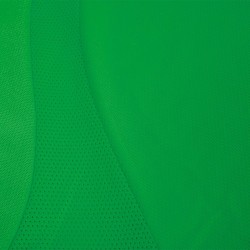 T-Shirt Adulte Personnalisé Performance & Style Sappor Tecnic Matières : polyester Taille textile : XL Couleurs : vert impressio