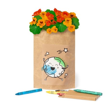 Pot de Fleurs Éco-responsable Personnalisé pas cher - Halors Matières : papier recyclé goodies publicitaire événementiel