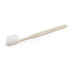 Brosse à dents  personnalisée pratique pas cher - Cleidol Matières : polypropylène (PP) Couleurs : naturel goodies publicitaire 
