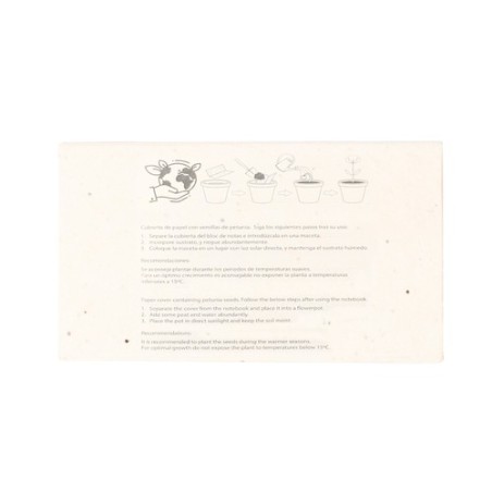 Boîte Crayons Ensemencé Fyser - Écologique et Créatif