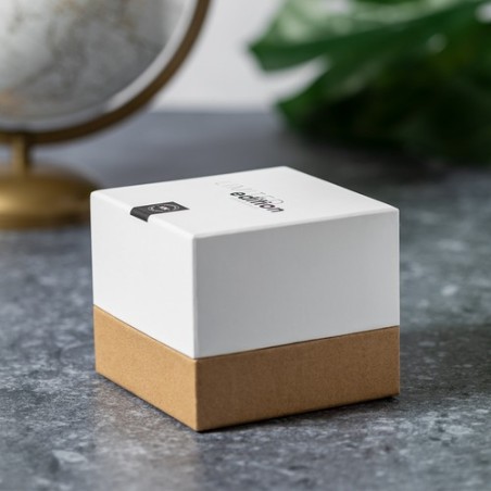 Bougie Aromatique Windu - Édition Limitée