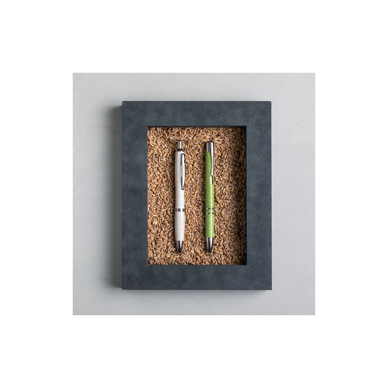 Stylo Prodox Écologique - Un choix responsable