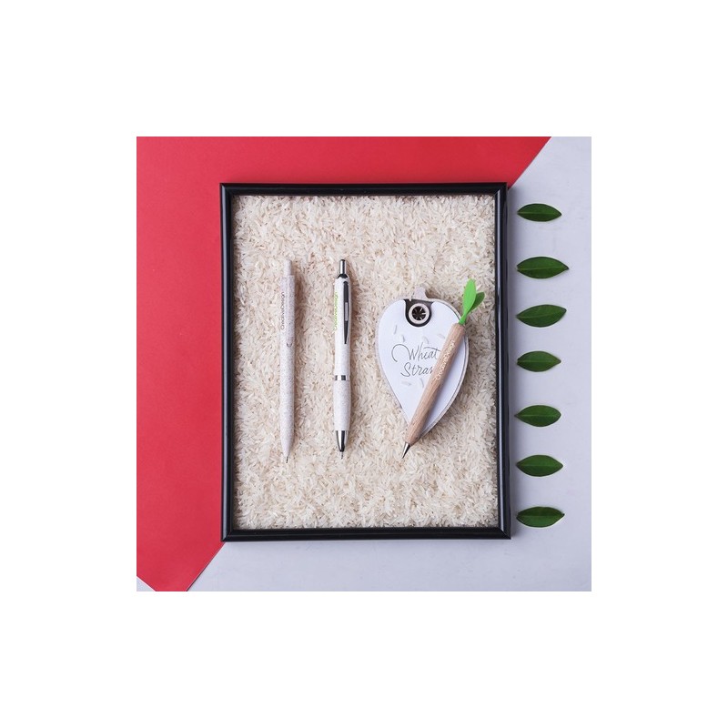 Stylo Prodox Écologique - Un choix responsable