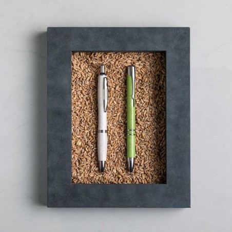 Stylo Prodox Écologique - Un choix responsable