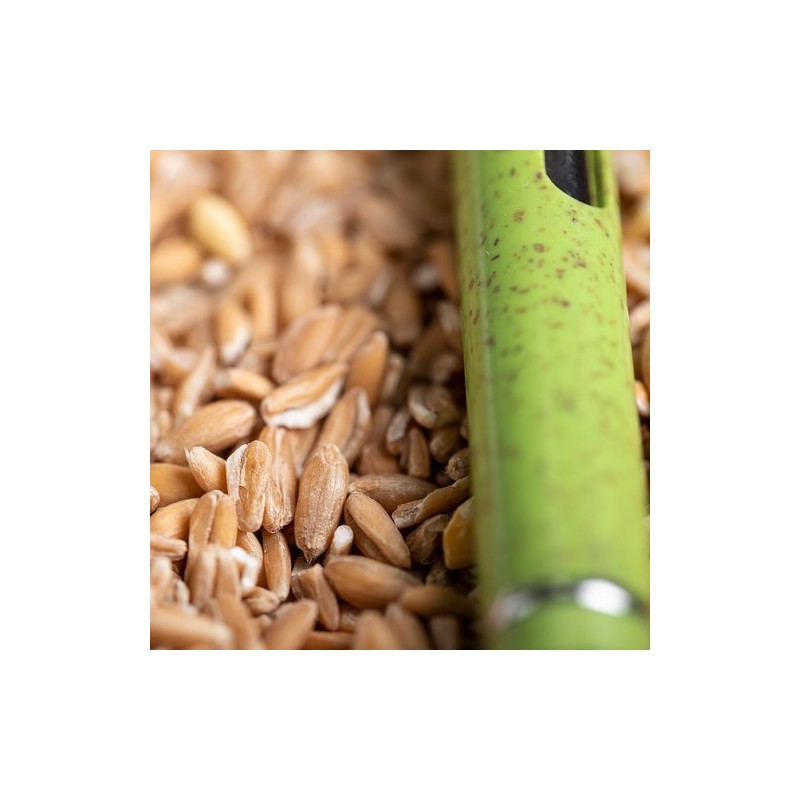 Stylo Prodox Écologique - Un choix responsable