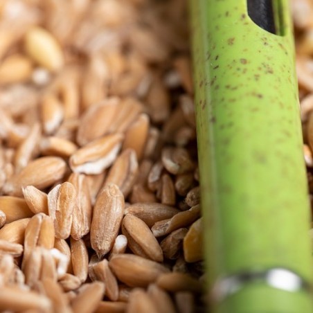 Stylo Prodox Écologique - Un choix responsable