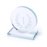 Plaque en Verre Personnalisée Trophée Owen Matières : verre