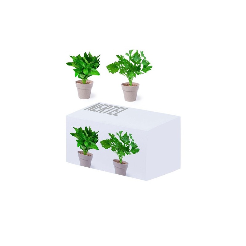 Set de Pots de Fleurs Personnalisés pour Herbes Aromatiques pas cher Nertel