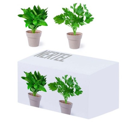 Set de Pots de Fleurs Personnalisés pour Herbes Aromatiques pas cher Nertel