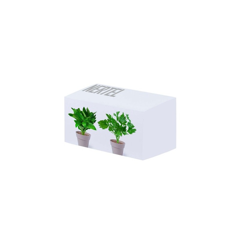 Set de Pots de Fleurs Personnalisés pour Herbes Aromatiques pas cher Nertel personnalisable avec votre logo