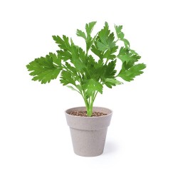 Set de Pots de Fleurs Personnalisés pour Herbes Aromatiques pas cher Nertel goodies publicitaire événementiel