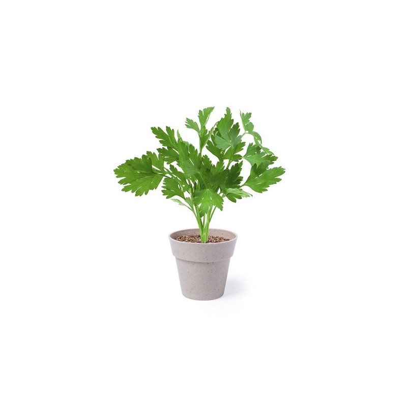 Set de Pots de Fleurs Personnalisés pour Herbes Aromatiques pas cher Nertel goodies publicitaire événementiel