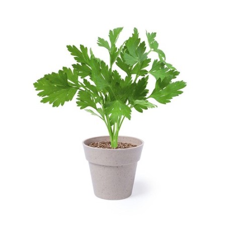 Set de Pots de Fleurs Personnalisés pour Herbes Aromatiques pas cher Nertel goodies publicitaire événementiel
