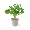 Set de Pots de Fleurs Personnalisés pour Herbes Aromatiques pas cher Nertel goodies publicitaire événementiel