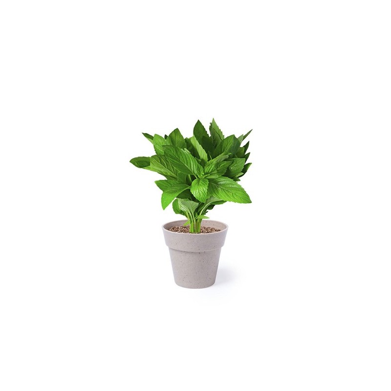 Set de Pots de Fleurs Personnalisés pour Herbes Aromatiques pas cher Nertel impression haute définition