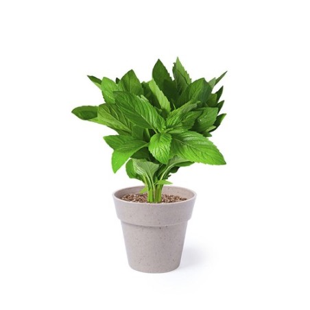 Set de Pots de Fleurs Personnalisés pour Herbes Aromatiques pas cher Nertel impression haute définition