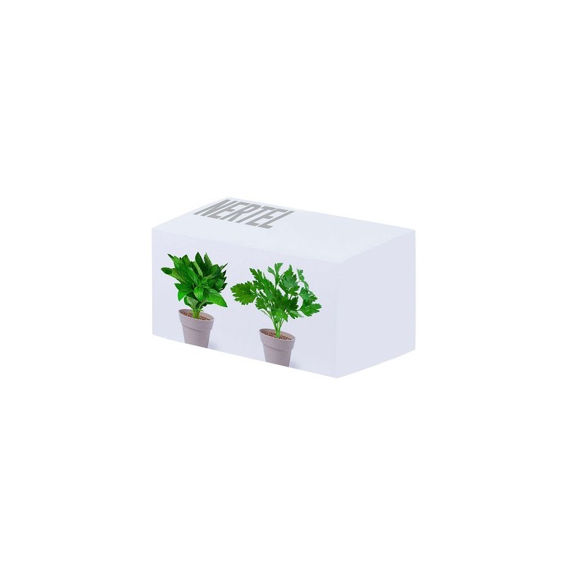 Set de Pots de Fleurs Personnalisés pour Herbes Aromatiques pas cher Nertel marquage laser ultra précis