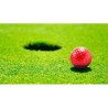 Balle de golf personnalisable et résistante - Nessa personnalisation sur mesure