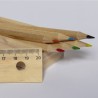 Boîte de Crayons Personnalisée Éco-responsable Dragon Matières : bois livraison express 24h 48h
