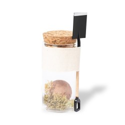 Bonbon Écologique et Chic Personnalisé Graines Winsu pas cher