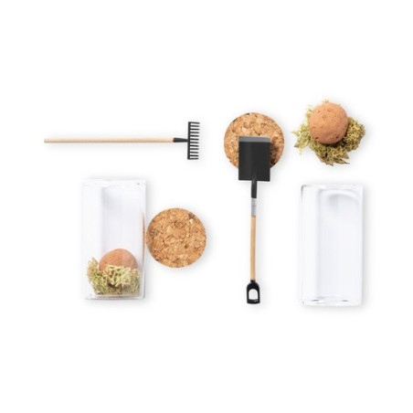 Bonbon Graines Winsu - Fleurs Sauvages en Bocal