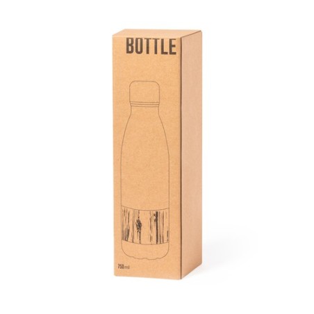 Bouteille Éco-responsable Personnalisable Guiver Matières : bambou Couleurs : argenté livraison express 24h 48h