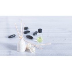 Diffuseur Aromatique Économique Personnalisé au Parfum de Jasmin - Nailex 2