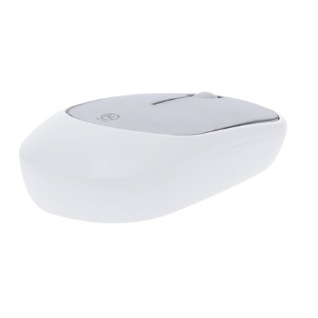 Souris Doryt RCS