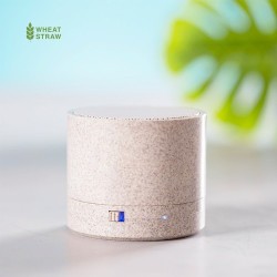 Haut-Parleur Bluetooth Éco-responsable et Personnalisé Pas Cher - Cayren Matières : ABS Couleurs : naturel 2