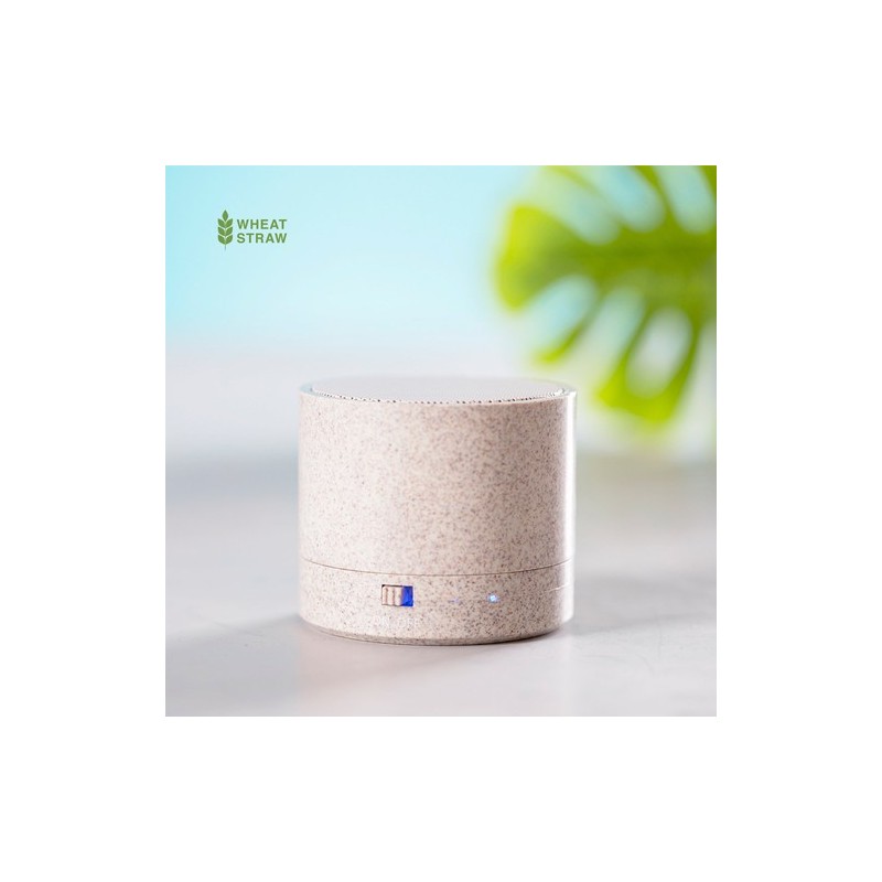 Haut-Parleur Bluetooth Éco-responsable et Personnalisé Pas Cher - Cayren Matières : ABS Couleurs : naturel personnalisable avec 