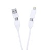 Chargeur USB personnalisé pas cher Leony Matières : aluminium recyclé  Couleurs : argenté impression haute définition