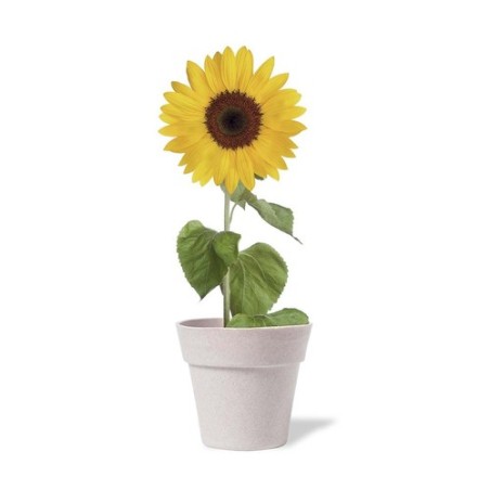 Pot de Fleurs Éco-responsable - Tumil impression haute définition