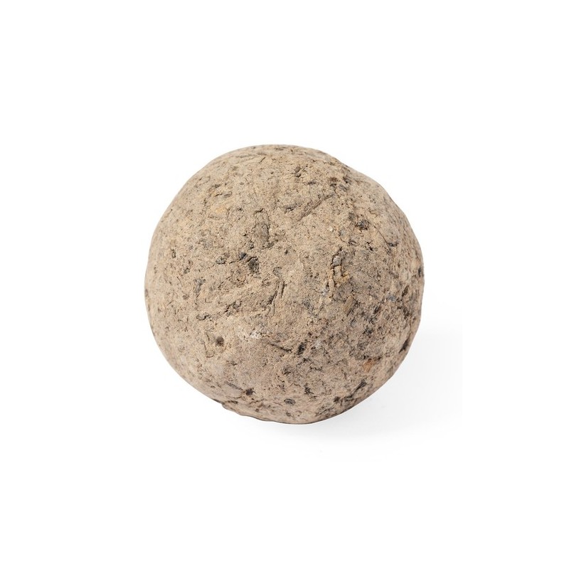 Bonbon Graines Mussox - Fleurs Sauvages Écologiques