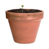 Bonbon Éco-responsable aux Graines Fleurs Sauvages Personnalisé Mussox pas cher Matières : carton recyclé impression haute défin