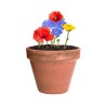 Bonbon Éco-responsable aux Graines Fleurs Sauvages Personnalisé Mussox pas cher Matières : carton recyclé marquage laser ultra p