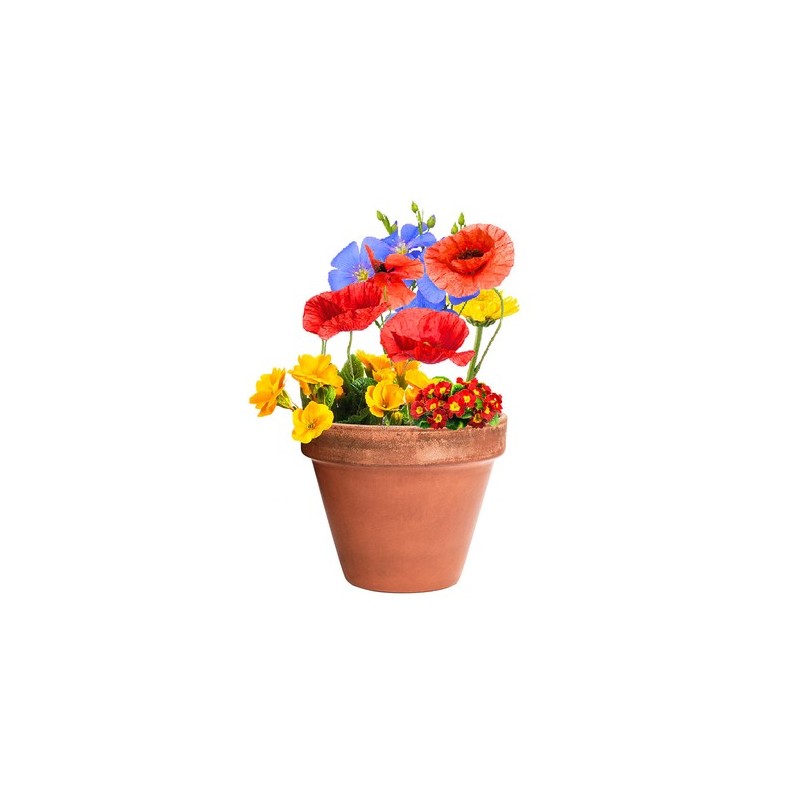 Bonbon Éco-responsable aux Graines Fleurs Sauvages Personnalisé Mussox pas cher Matières : carton recyclé livraison express 24h 
