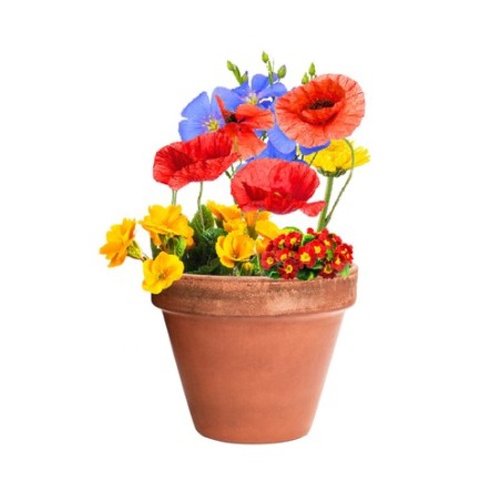 Bonbon Éco-responsable aux Graines Fleurs Sauvages Personnalisé Mussox pas cher Matières : carton recyclé livraison express 24h 