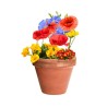 Bonbon Éco-responsable aux Graines Fleurs Sauvages Personnalisé Mussox pas cher Matières : carton recyclé livraison express 24h 
